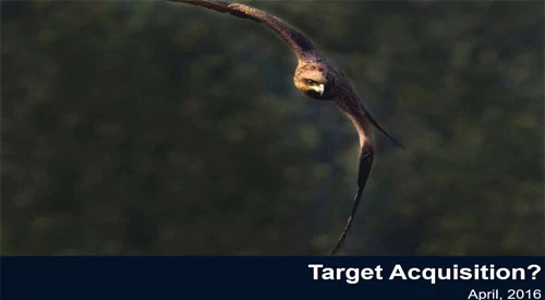 Target Acquisition? — cover
